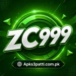 zc999 game