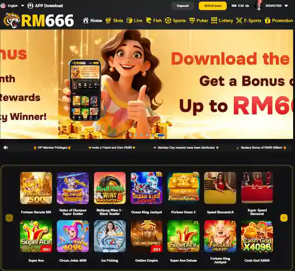rm666 game login